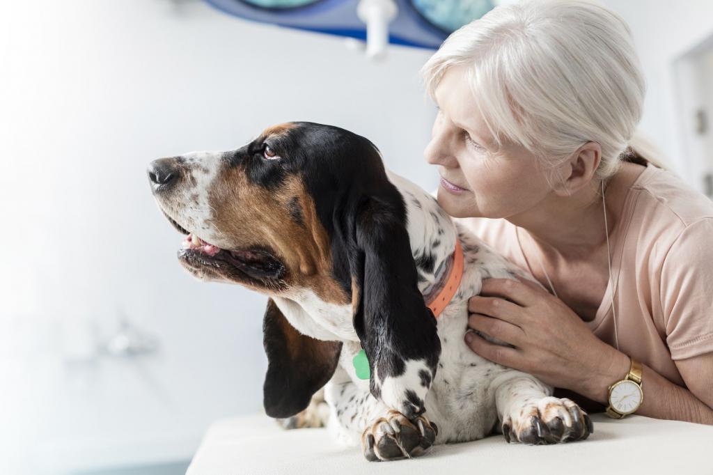 Пожилая женщина с пожилой собакой в кабинете ветеринара