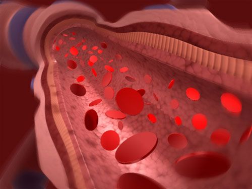 артерии мышечно-эластического типа