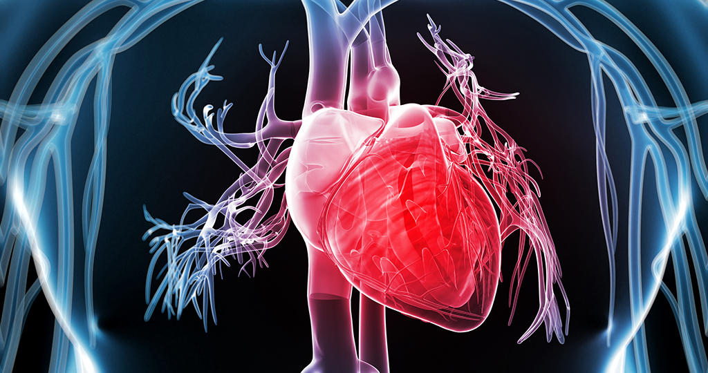 Увеличение левого желудочка сердца – что это такое?