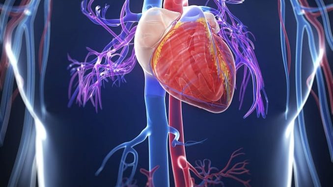 Увеличение фракции левого желудочка сердца