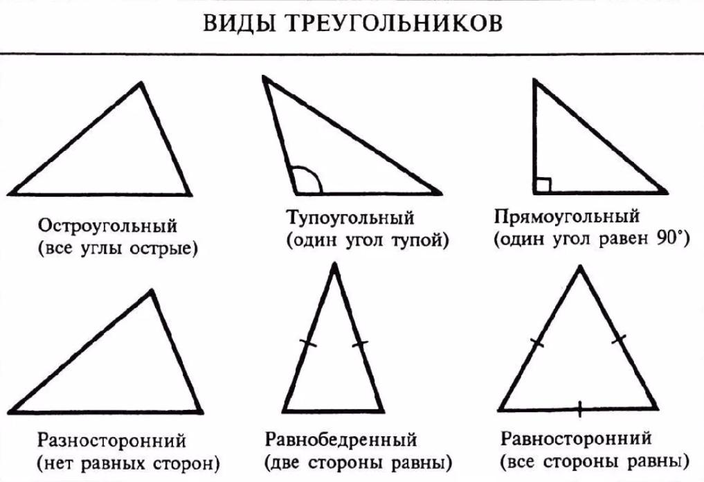 Ввести с клавиатуры основание и высоту треугольника и вывести площадь треугольника python