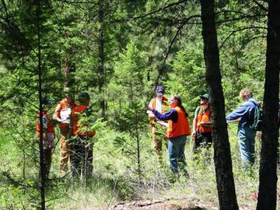  Отчет по практике по теме Дендрологическое обследование лесных массивов