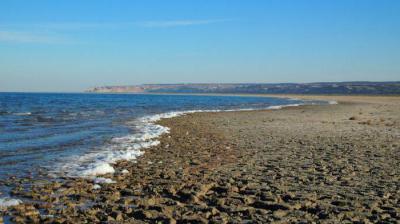 Почему высохло аральское море экодиктант