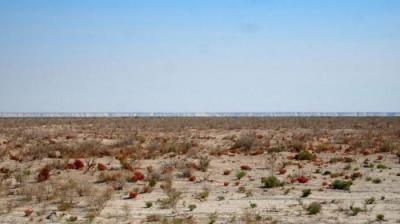 Почему высохло аральское море экодиктант