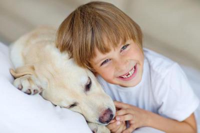 Что делать, если ребенка укусила домашняя или дворовая собака: куда обращаться, какие нужны прививки? Собака укусила ребенка что делать родителям