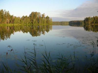 Озеро Кщара – место для рыбака