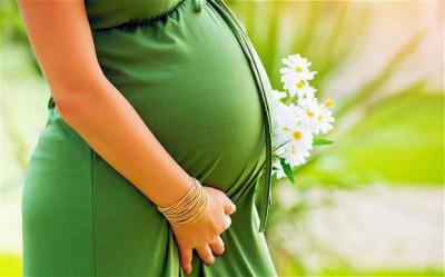 Оливковое масло – залог красоты и здоровья будущей мамы. Применять масло во время беременности можно, чтобы. Как оливковое масло помогает от растяжек