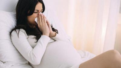 клюква при беременности при простуде