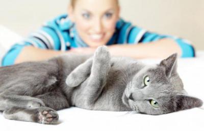 Почему у кота понос. Лечение кошки от поноса в домашних условиях. Лечение диареи у кошек