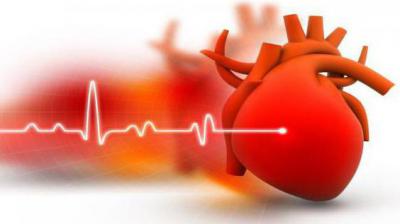 Чем опасна гипертония и почему участок сердечной мышцы