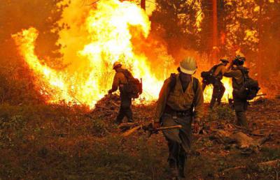 Сдо ржд верховой пожар наиболее опасен он охватывает кроны деревьев скорость продвижения огня