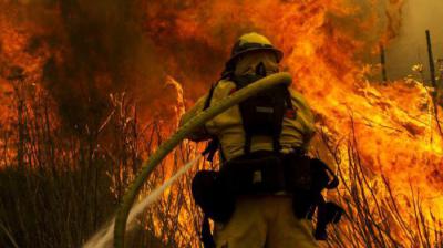 Сдо ржд верховой пожар наиболее опасен он охватывает кроны деревьев скорость продвижения огня