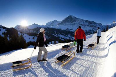 Гриндельвальд  – обзор и отзывы лыжного курорта Швейцарии