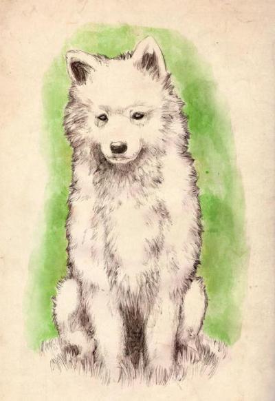 Как нарисовать собаку поэтапно породы джек рассел терьер