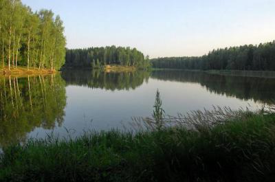 Лесное озеро – место для рыбака