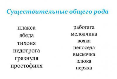 В русском языке какие слова общего рода и как они называются