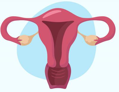 Положение матки Anteflexio: нормальное положение матки в малом тазу