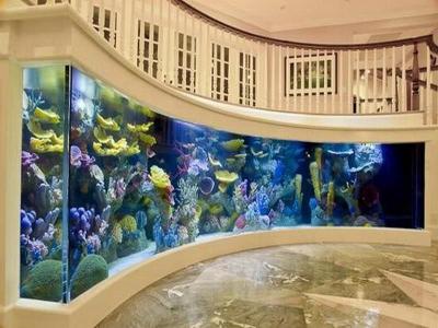 фото встроенных аквариумов в стену