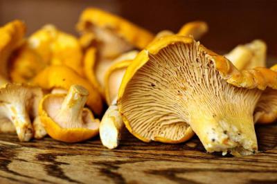 Почему грибы горчат при жарке: причины и способы устранения