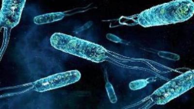 Микробы Под Ногтями Фото