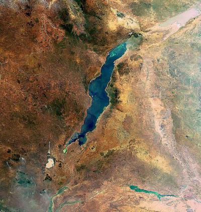Доклад по теме Новая цихлида с озера Ньяса