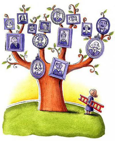 Генетическое древо семьи. Как можно представить генеалогическое дерево. Как построить родословную схему