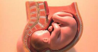 Нормальный ребенок на 30 недели беременности. Необходимые исследования. Анализы. Видео – как определить вес и размер ребенка до его рождения