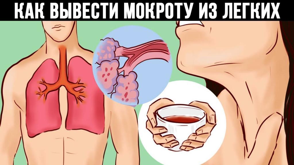 Если не выплевывать мокроту при кашле