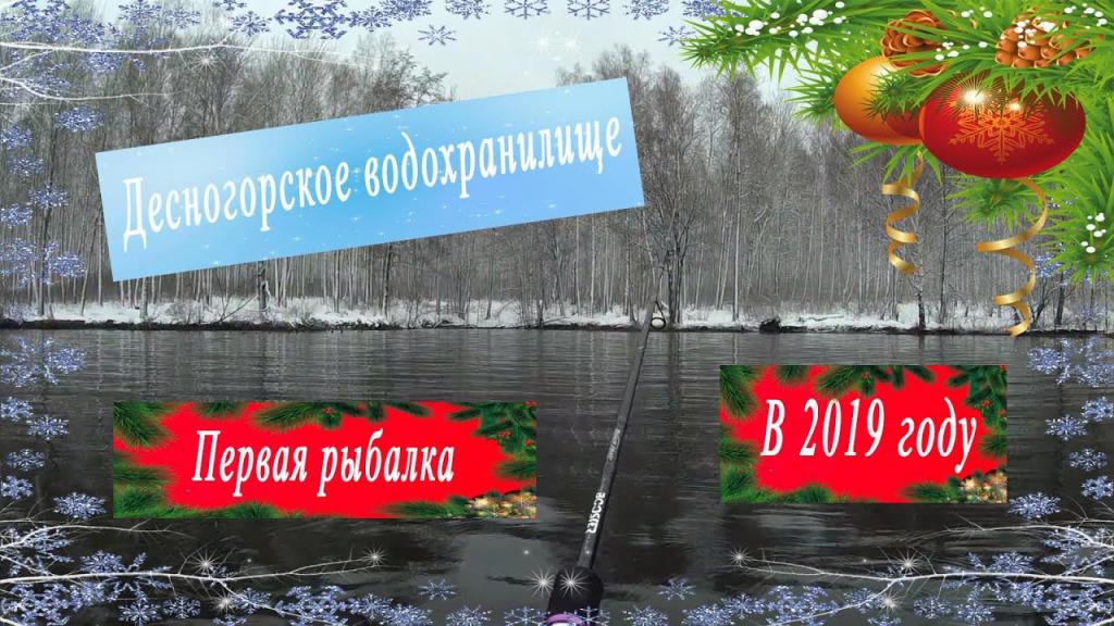 Рыбалка на Десногорском водохранилище: описание, особенности, отзывы