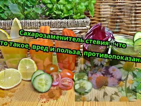 Фиточай стевия польза и вред